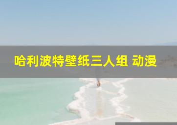 哈利波特壁纸三人组 动漫